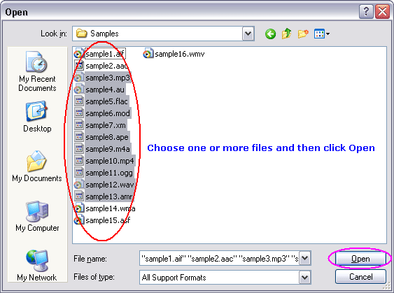 Choose one or more MO3 files you want to convert